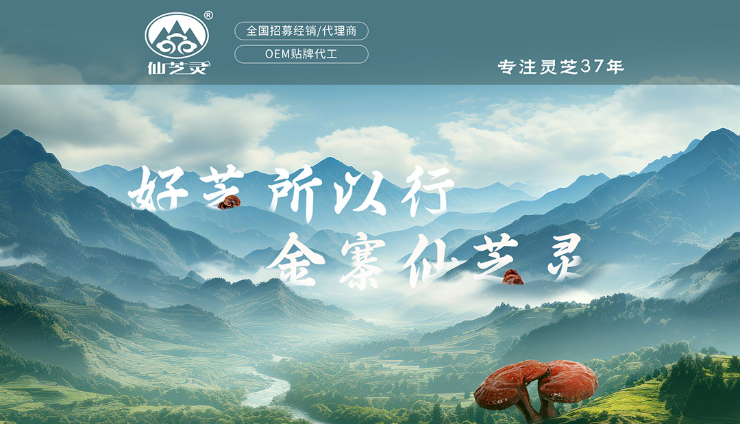 1688首页改_01.jpg